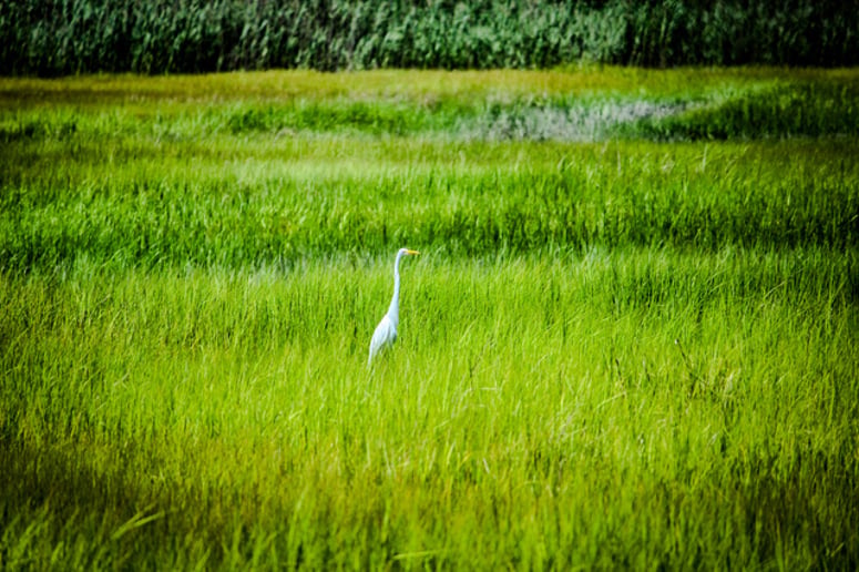 Gallery photo 10 of The perfect picture