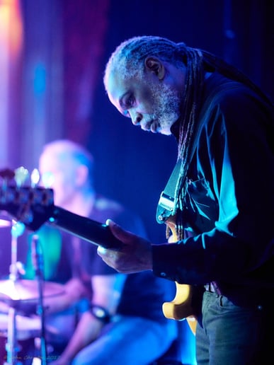 Gallery photo 4 of The Petty Thieves