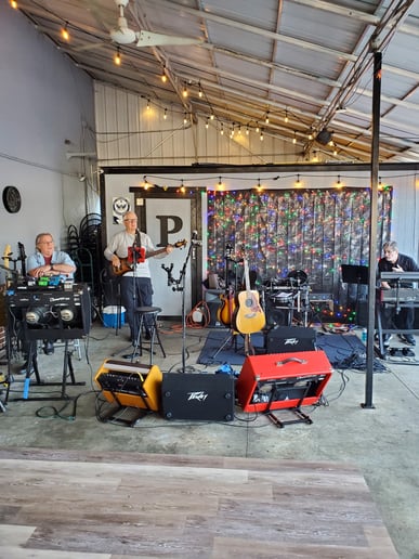 Gallery photo 10 of The Pogy Band