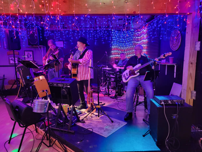 Gallery photo 15 of The Pogy Band