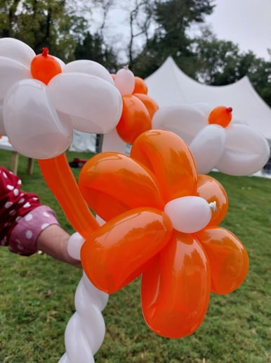 Gallery photo 7 of The Polka Dot Man - Balloons, Magic and Santa