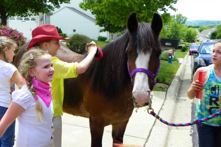 Gallery photo 1 of The Pony Party Express