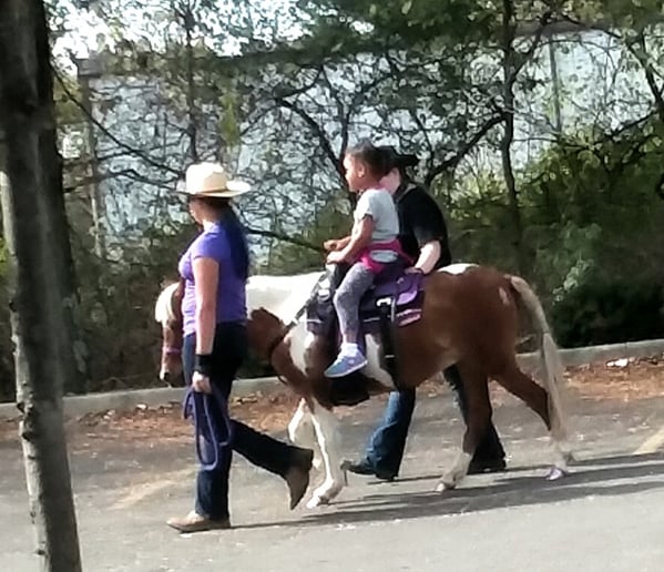 Gallery photo 8 of The Pony Party Express