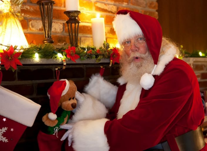Gallery photo 2 of The Premier Santa Group