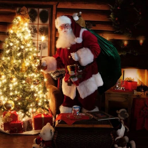 Gallery photo 4 of The Premier Santa Group