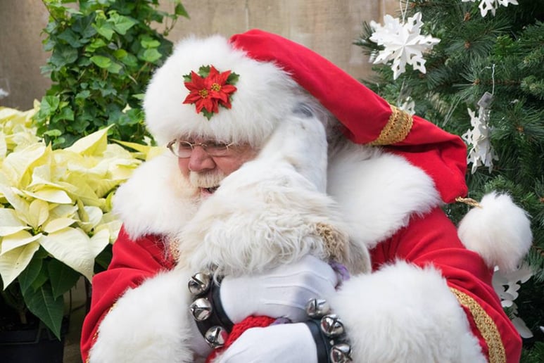 Gallery photo 9 of The Premier Santa Group