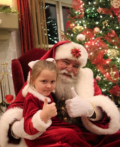 Gallery photo 1 of The Premier Santa Group