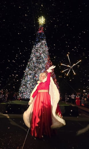 Gallery photo 3 of The Premier Santa Group