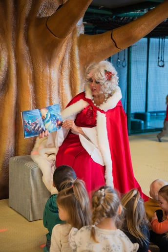 Gallery photo 38 of The Premier Santa Group