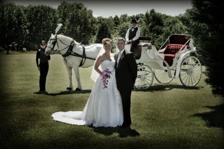 Gallery photo 9 of The Princess's Carriage