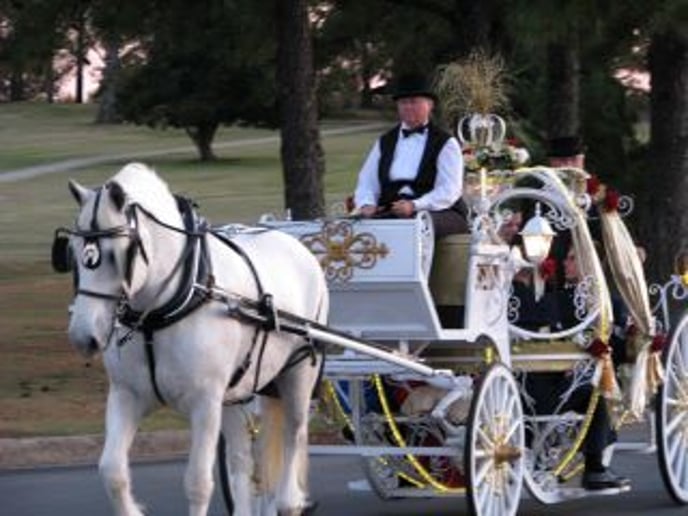 Gallery photo 8 of The Princess's Carriage