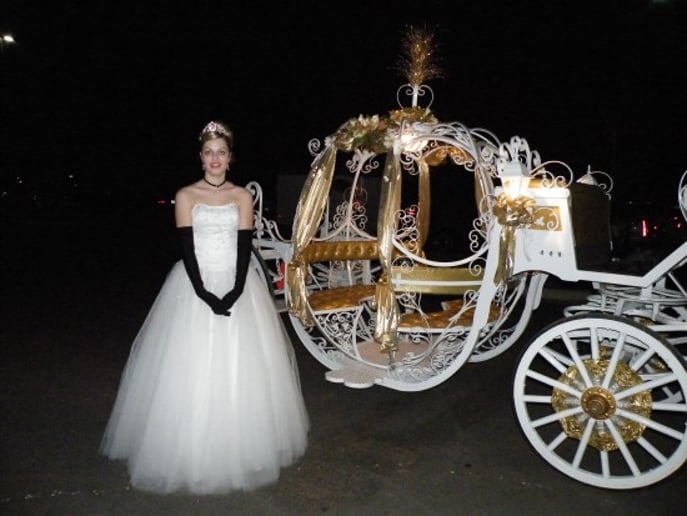 Gallery photo 7 of The Princess's Carriage