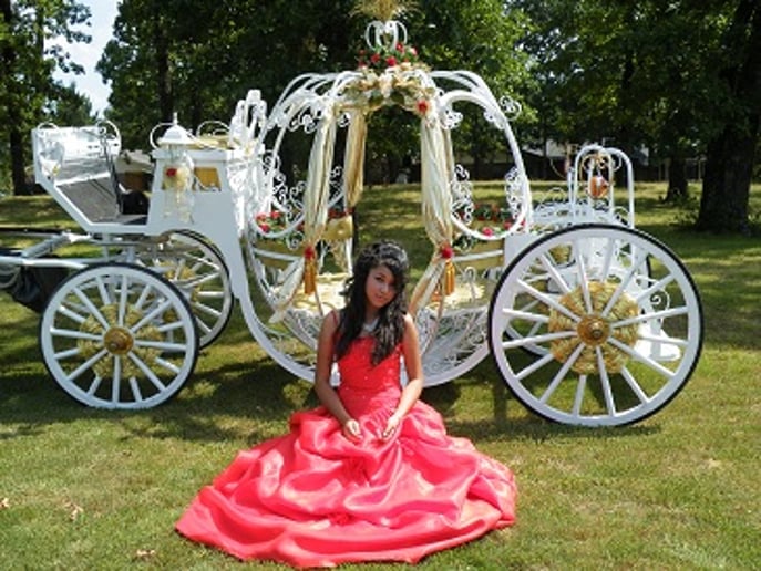 Gallery photo 2 of The Princess's Carriage