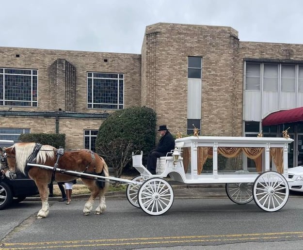 Gallery photo 4 of The Princess's Carriage
