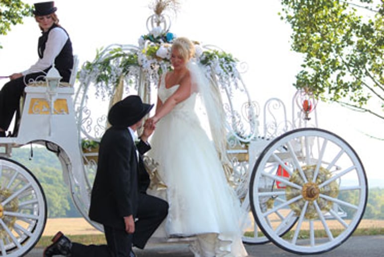 Gallery photo 6 of The Princess's Carriage