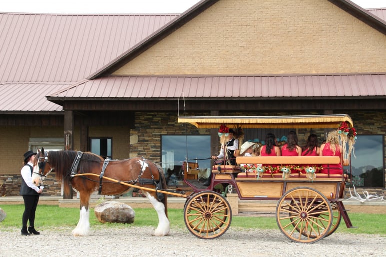 Gallery photo 3 of The Princess's Carriage