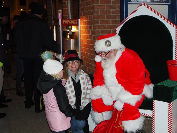 Gallery photo 1 of The Professional Santa