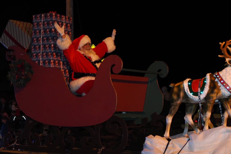Gallery photo 5 of The Professional Santa