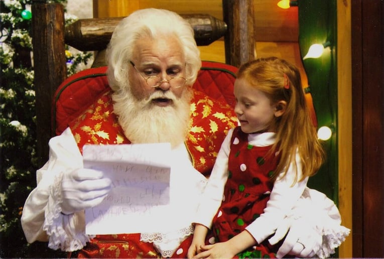 Gallery photo 2 of The Enchanted Santa
