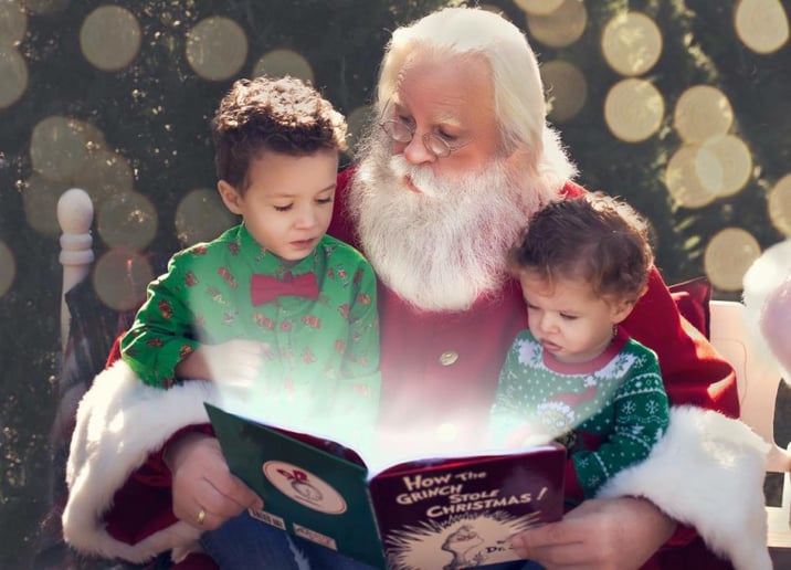 Gallery photo 4 of The Enchanted Santa
