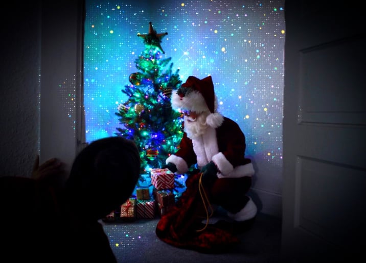 Gallery photo 1 of The Real Little St. Nick