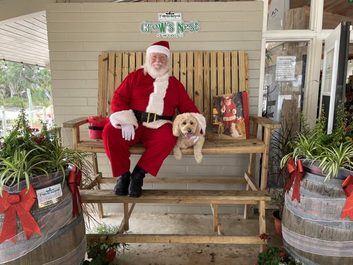 Gallery photo 4 of The Real Papa Claus