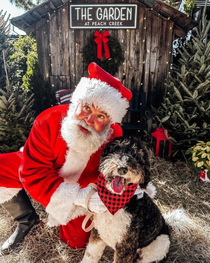Gallery photo 4 of The Real Santa of 30A