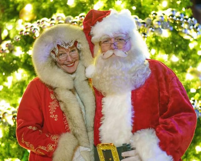 Gallery photo 1 of The REAL Santa