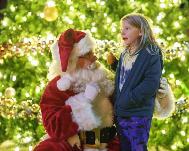 Gallery photo 4 of The REAL Santa