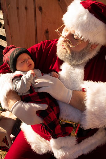 Gallery photo 1 of The Jingle Bell Rocker