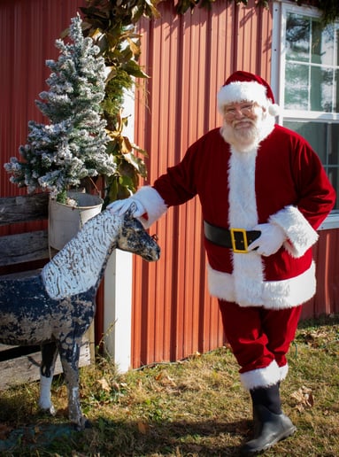 Gallery photo 5 of The Jingle Bell Rocker