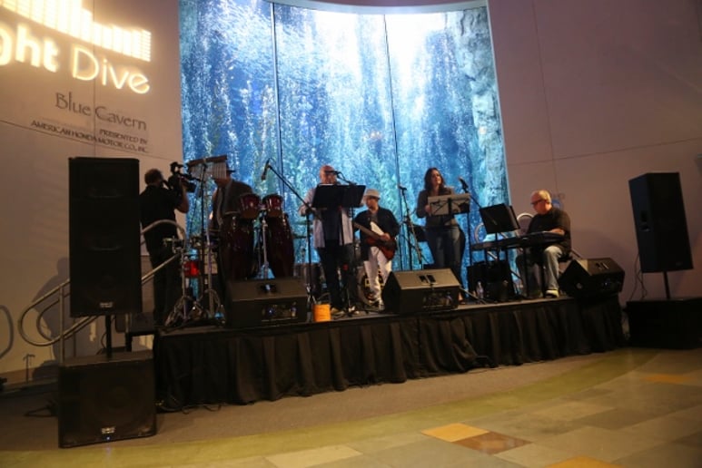Gallery photo 1 of The "Revolving Door Band"