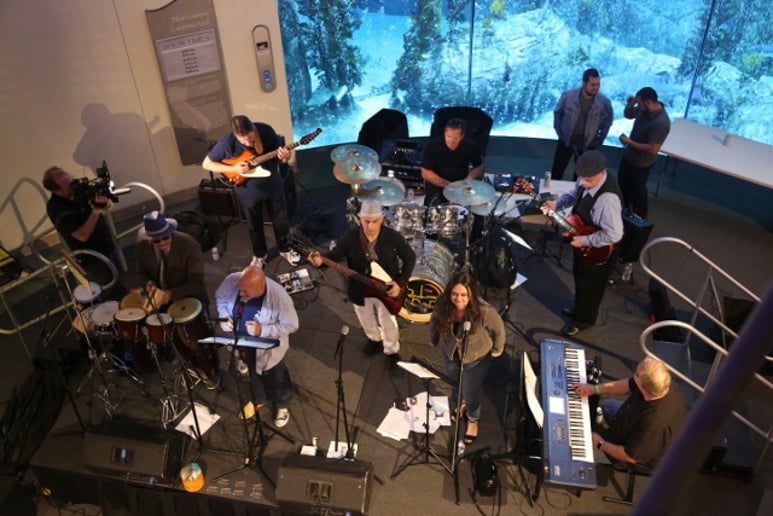 Gallery photo 2 of The "Revolving Door Band"