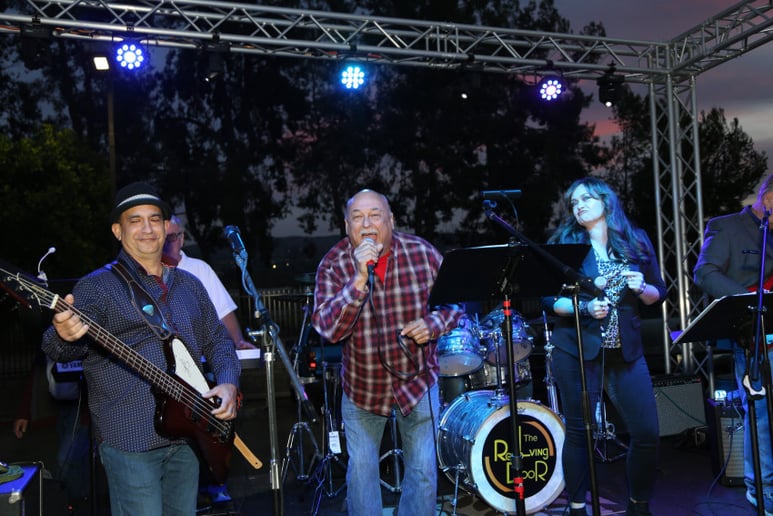 Gallery photo 3 of The "Revolving Door Band"
