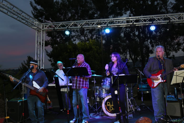 Gallery photo 5 of The "Revolving Door Band"