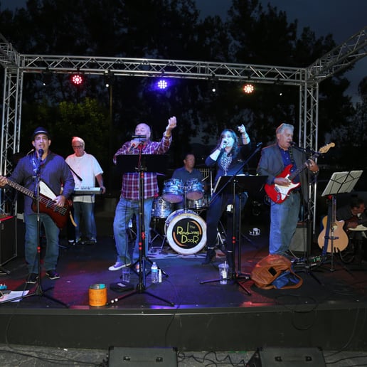 Gallery photo 6 of The "Revolving Door Band"