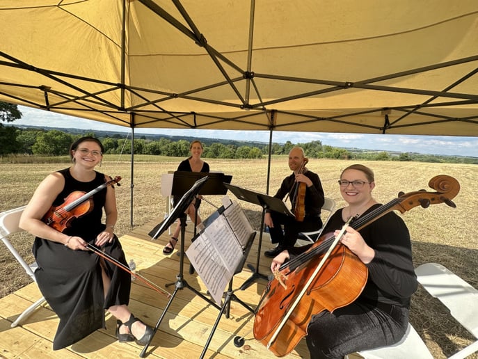 Gallery photo 1 of The Rhapsody String Quartet