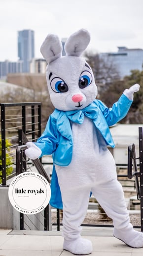 Gallery photo 44 of Little Royals Party Haus