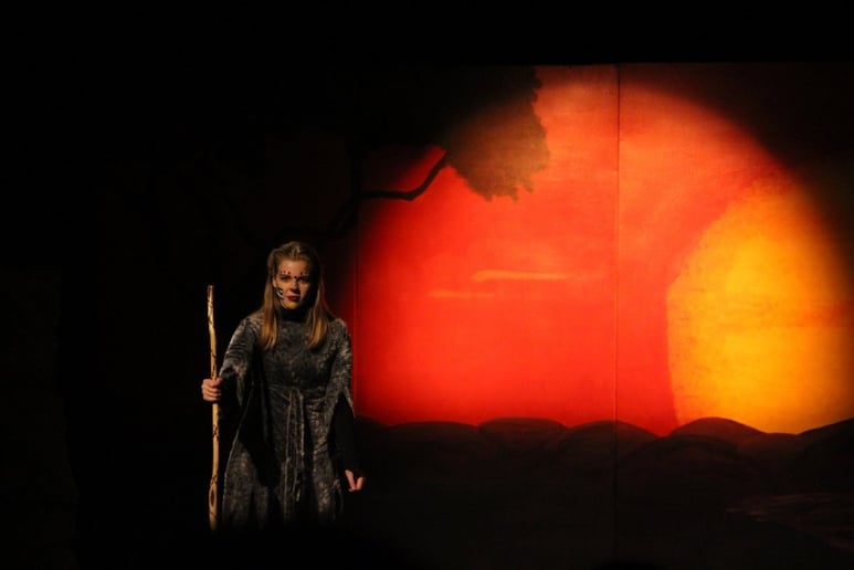 Gallery photo 7 of The Royal Performance Company MN
