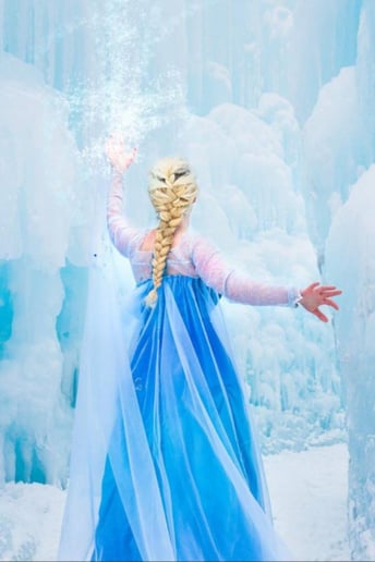 Gallery photo 9 of The Royal Performance Company MN