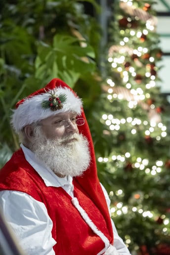 Gallery photo 6 of Louisville Claus