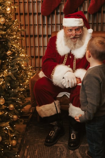 Gallery photo 2 of The Santa Experience
