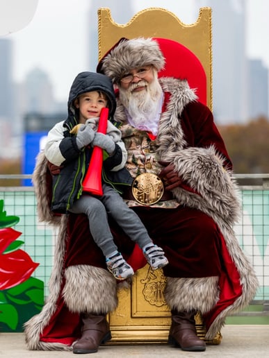 Gallery photo 6 of The Santa Experience