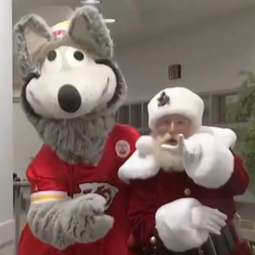 Gallery photo 4 of The Santa Quas