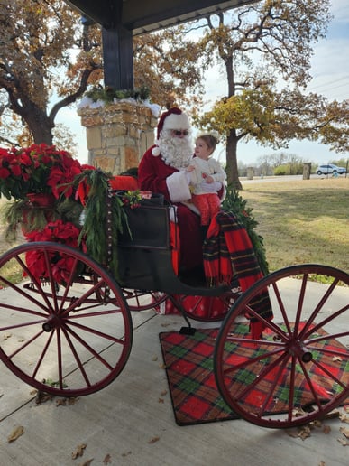 Gallery photo 4 of The Santa Steven