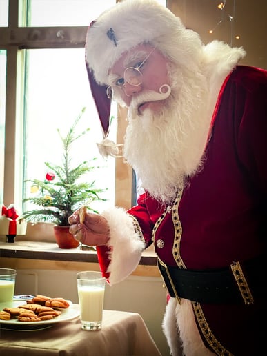 Gallery photo 4 of The Scranton Santa Experience