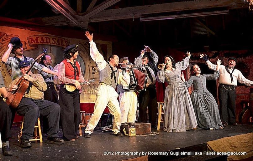 Gallery photo 2 of Themed Musical Entertainment: Pirates, Old West & Halloween