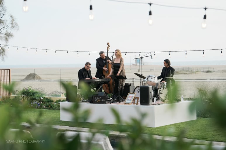 Gallery photo 3 of The Secret Jazz Band