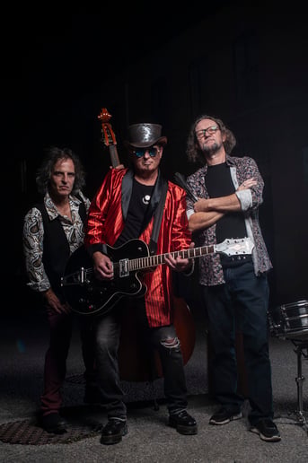 Gallery photo 2 of The Serotones