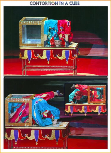 Gallery photo 10 of The Seyranyan Family Show, LLC